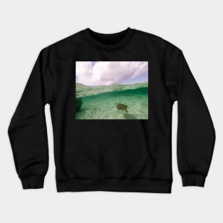 A Green Turtle Swimming in Grand Bahama Crewneck Sweatshirt